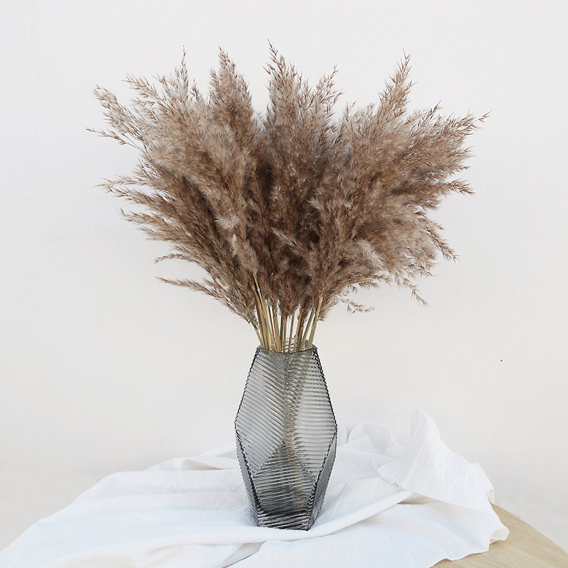 10Pcs Colorful Natural Reeds P - огляд і ціна Pampas Grass Decor