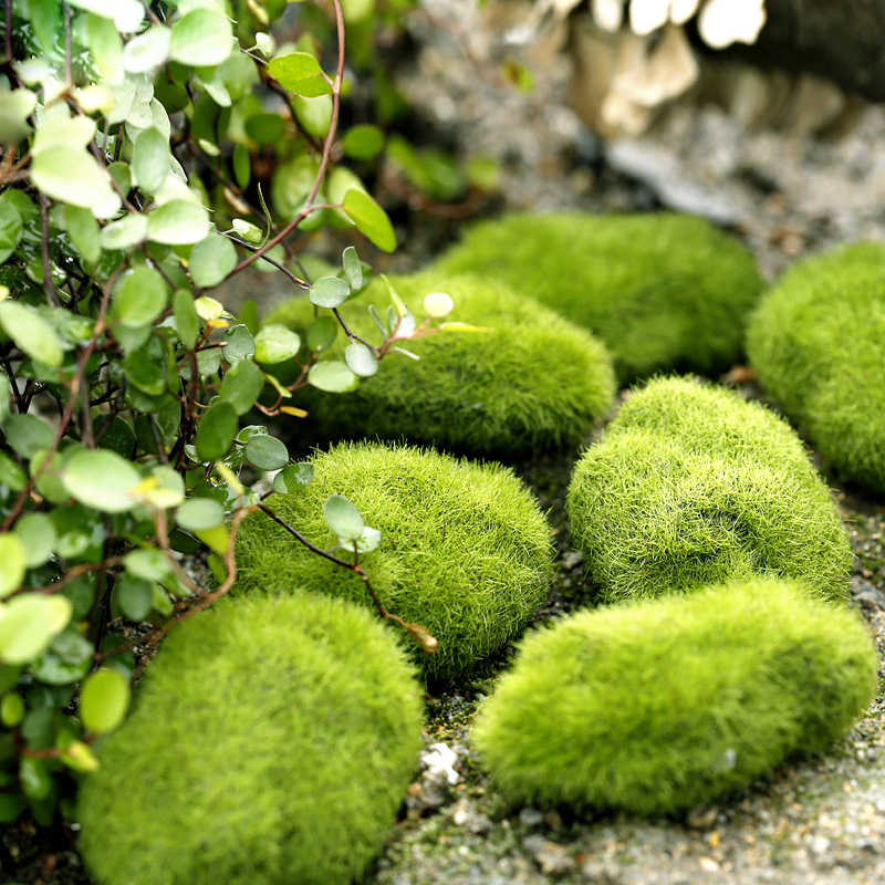 Green Artificial Grass Foam Mo - огляд і ціна Home Decor Za