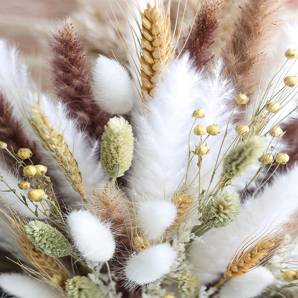 100pcs Dried Pampas Grass Bouq - огляд і ціна Pampas Grass Decor