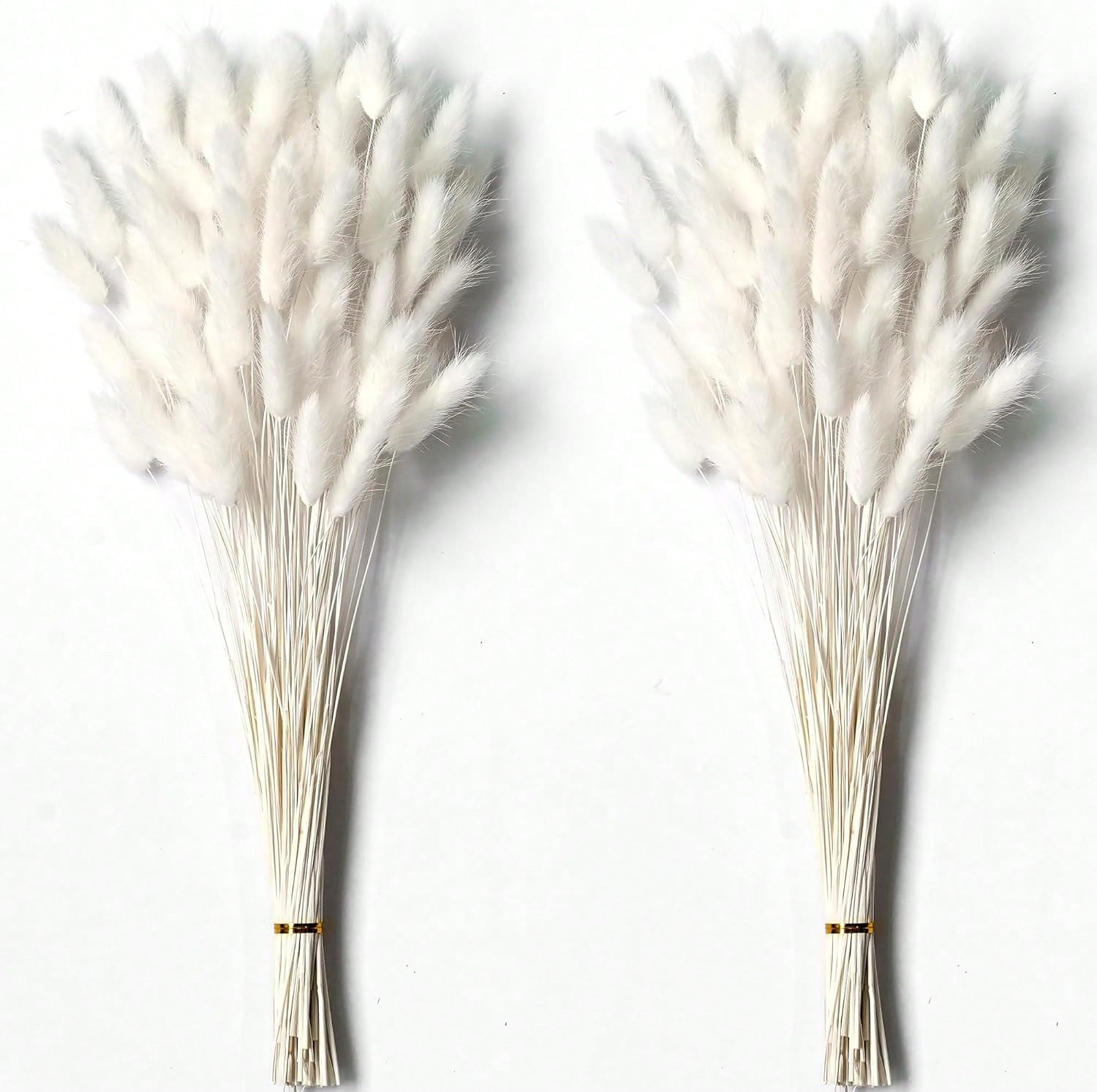120 PCS Dried Pampas Grass Dec - огляд і ціна Pampas Grass Decor