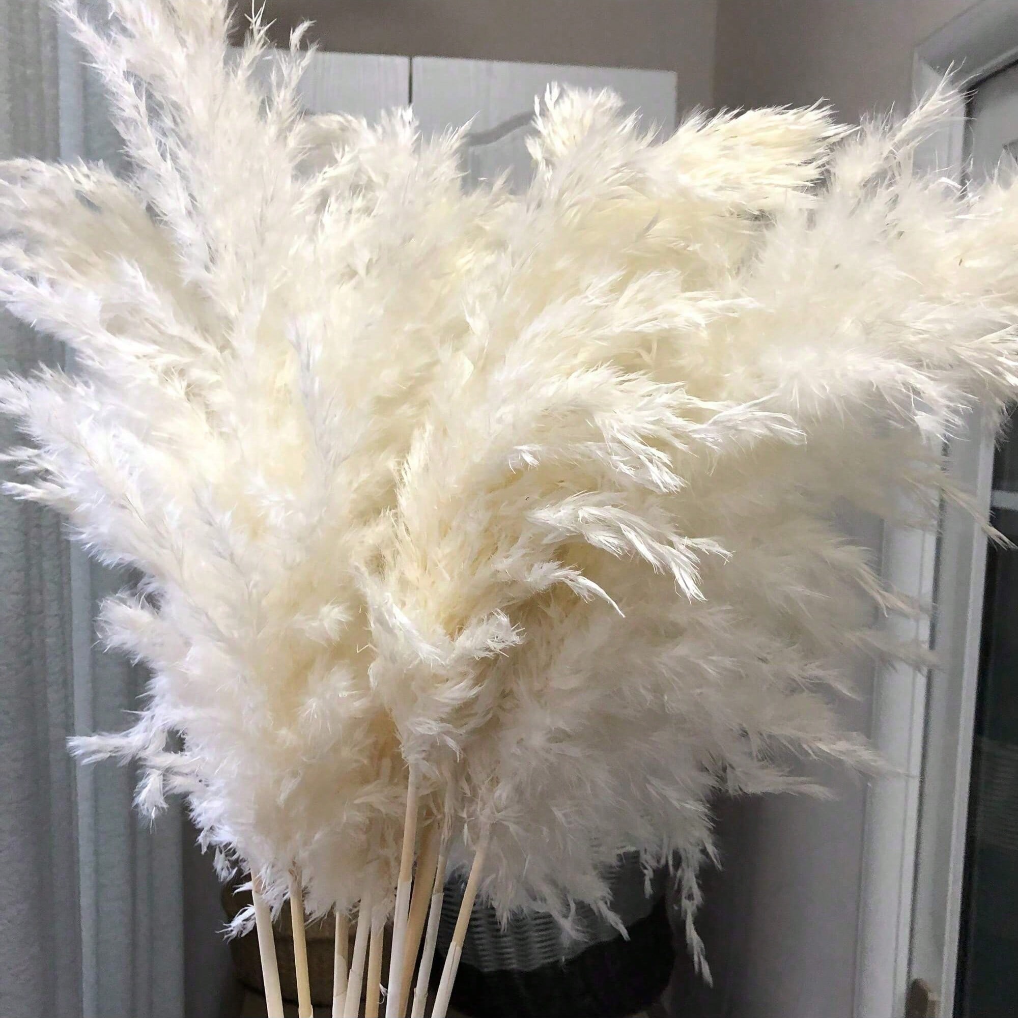 10/20/30pcs White Artificial P - огляд і ціна Pampas Grass Decor