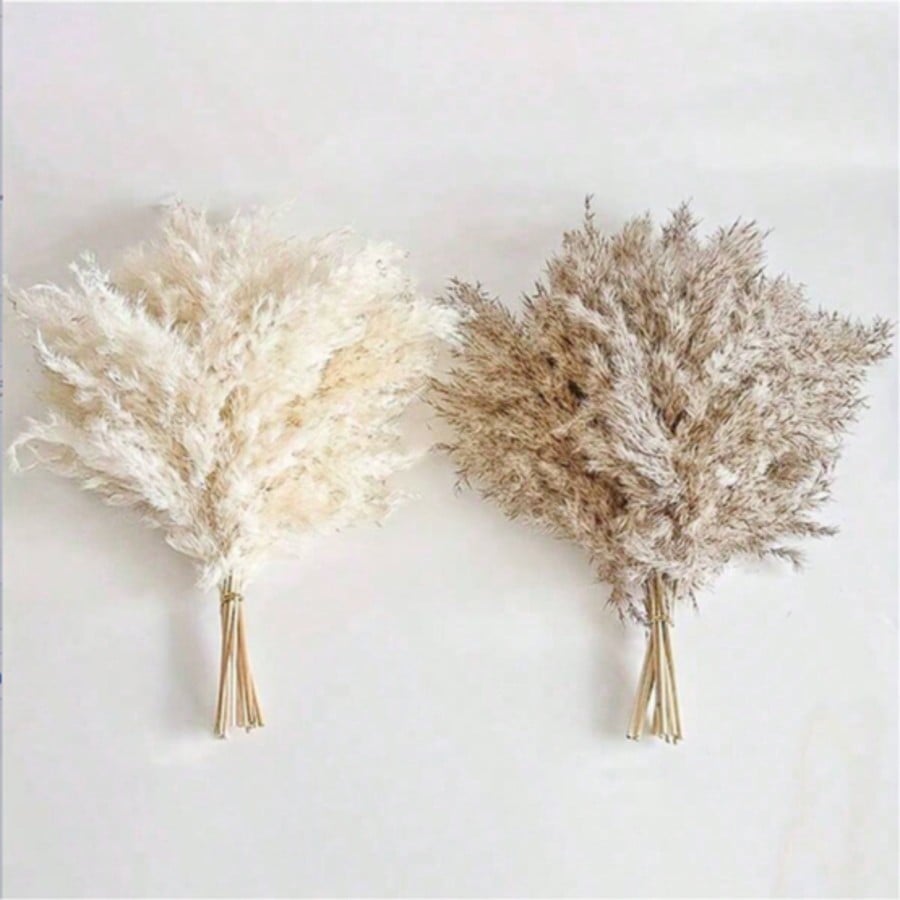 10/20/30pcs White Artificial P - огляд і ціна Pampas Grass Decor