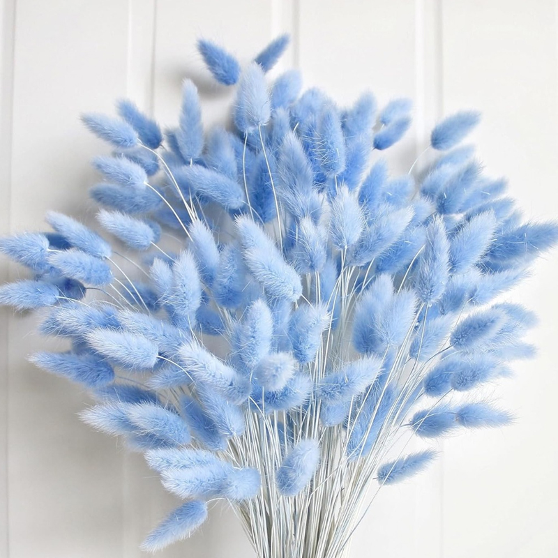 100PCS Blue Hare's-tail Grass  - огляд і ціна Pampas Grass Decor